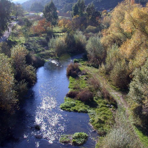 river-guadiaro